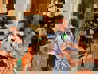 El PP exige el cese "inmediato" del director del IbSalut tras la condena del TSJIB