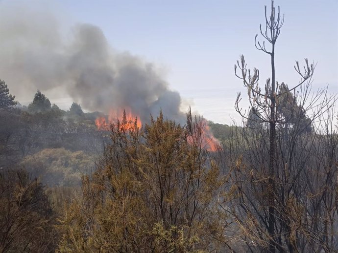 Incendio del norte de Tenerife