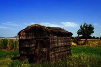 Plataforma Parques Nacionales denuncia "alta vulnerabilidad" en Cabañeros por "desidia" de administraciones