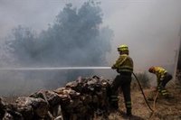 Baja a Nivel 1 el fuego de Losacio y la UME se retira del operativo