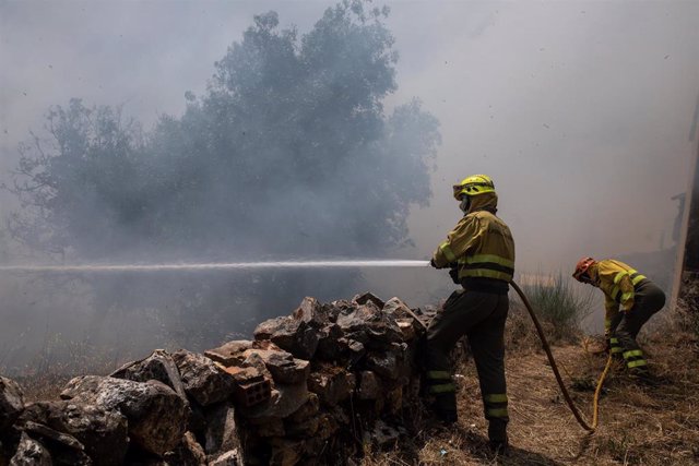 Varios bomberos trabajan en la extinción del fuego del incendio de Losacio, a 18 de julio de 2022, en Ferreras de Abajo, Zamora, Castilla y León (España). El Servicio de Emergencias 112 de Castilla y León ha confirmado hoy el hallazgo del cadáver de un ho