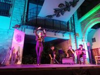 Las III Veladas Flamencas Jaén Auténtica llegan a su ecuador entre la buena acogida del público