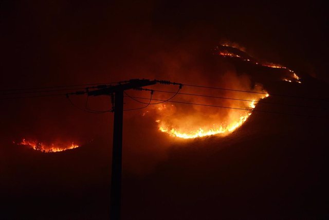 Incendio forestal