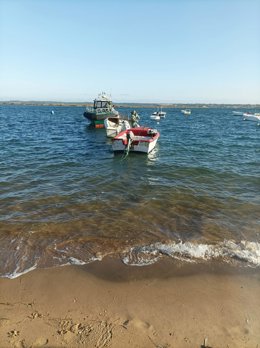 Foto de la operación.