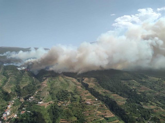 Montero will visit the area of the Tenerife fire and highlights the work of the emergency services Forest fire in Los Realejos and San Juan de la Rambla