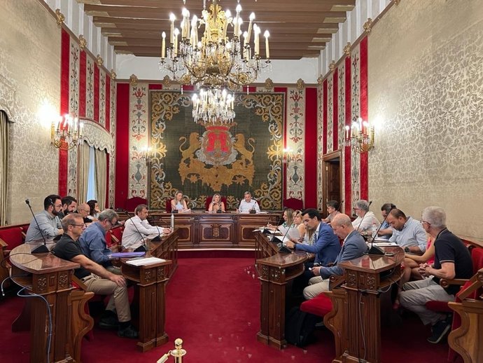 El Consejo Local de Comercio de Alicante