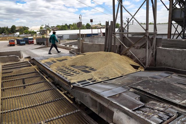 June 22, 2022, Odesa Region, Ukraine: Grain is stored at a facility in Odesa Region, southern Ukraine. This photo cannot be distributed in the Russian Federation.,Image: 702119843, License: Rights-managed, Restrictions: , Model Release: no, Credit line: N