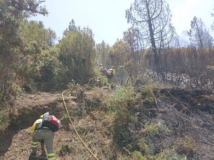 Brigadas forestales en el incendio del norte de Tenerife