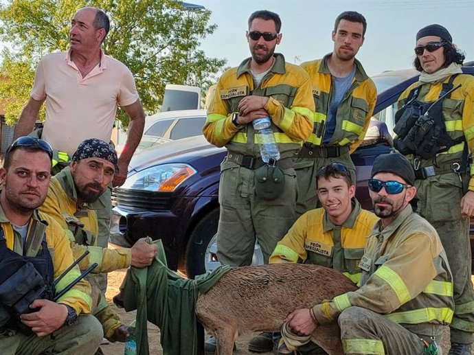 Efectivos de una ELIF junto a un corzo al que han rescatado del fuego.