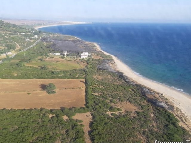 Controlado el incendio de Tarifa (Cádiz) que obligó a cortar la N-340 en la zona de Valdevaqueros