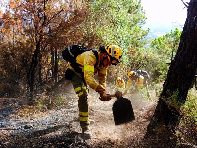 Bomberos forestales, en foto de archivo.