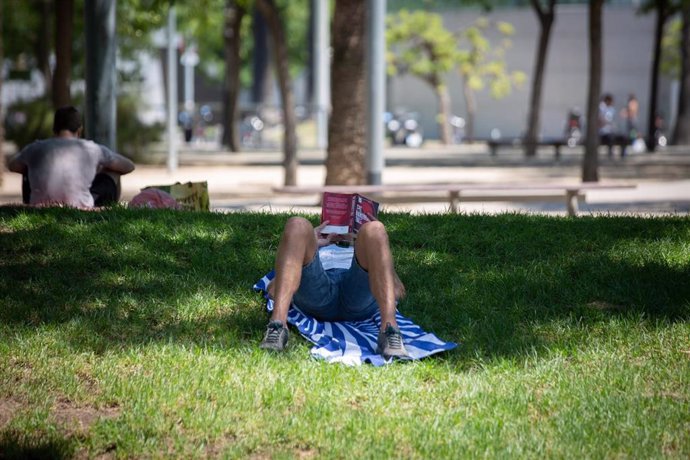 Un hombre lee bajo la sombra de unos árboles