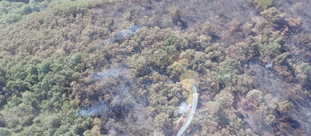 Reproducción en Montes de Valdueza (León).