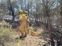 El incendio de Ateca continúa estabilizado y su evolución es "buena"