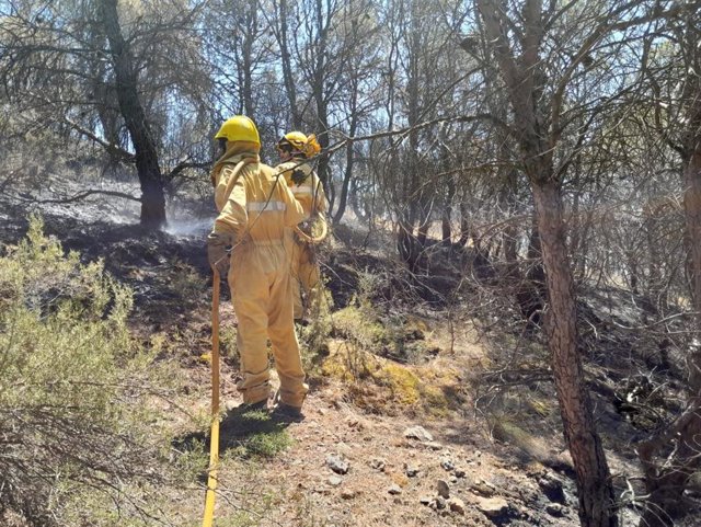 Efectivos del INFOAR del Gobierno de Aragón en labores de extinción en el incendio de Ateca.