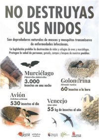El programa 'Enreda en verde' de la Diputación de Segovia fomenta el respeto a los nidos de varias especies