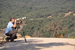 Archivo - Observación de aves. Turismo. Naturaleza