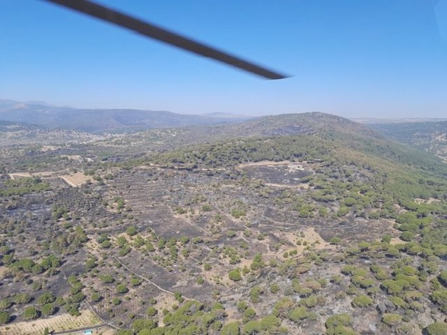 Estado del incendio de Cebreros.