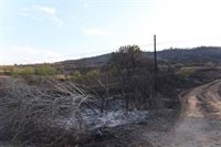 Los vecinos de Moros se organizan para limpiar el pueblo tras el incendio, "que parece un paisaje lunar o nevado"
