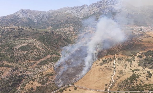 Declarado un incendio en el paraje Estación de Cortes de la Frontera (Málaga)