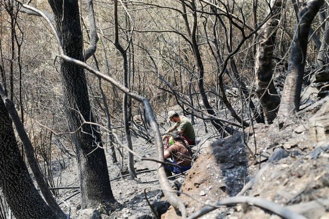 Voluntarios observan exhaustos los daños causados en la Sierra de Caurel tras el incendio.