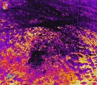 El operativo de Cebreros (Ávila) vigila puntos calientes para evitar reproducciones esta tarde