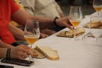 Alimentos de Segovia organiza en verano 120 catas en la provincia, un 65% más que en 2019