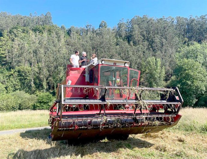 La directora general de Desarrollo Rural y Agroalimentación, Begoña López, visita una finca de Pravia en la que se está recolectando escanda