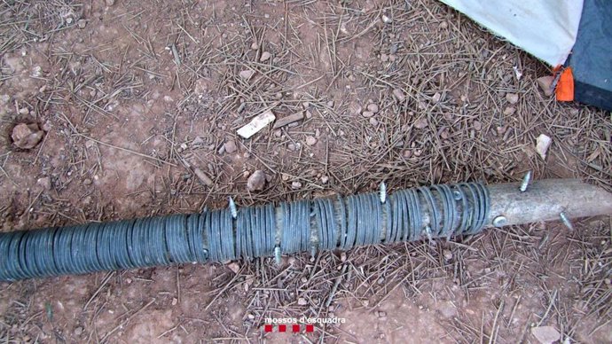 Imatge del bastó defensiu amb claus de fins a cinc centímetres intervingut en una plantació a Armentera (Tarragona)