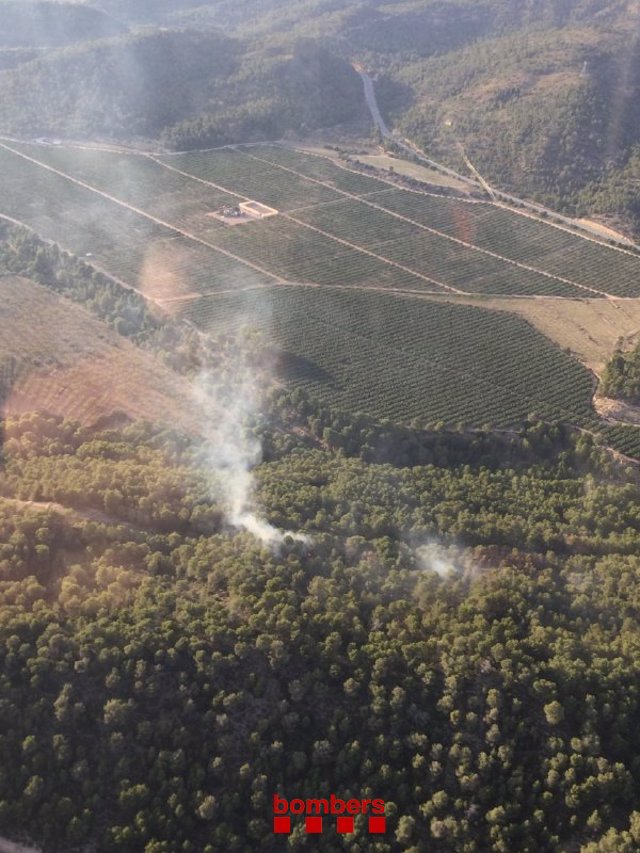 Incendio forestal entre Móra d'Ebre y Corbera d'Ebre (Tarragona)