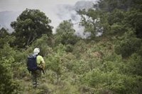 El riesgo de incendio en Navarra este lunes sigue siendo extremo a pesar de que no hay alertas por altas temperaturas