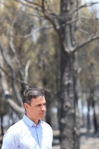 Sánchez insta a trabajar "juntos" contra los incendios en su felicitación por el Día de Galicia