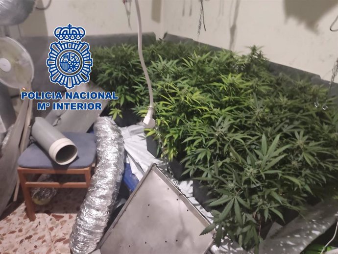 La Policía Nacional ha detenido a dos hermanos que cultivaban marihuana en un piso que se estaba inundando de agua