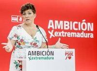 El PSOE de Extremadura pide a los partidos que vuelvan al Pacto por Ferrocarril, donde "se pueden cambiar las cosas"