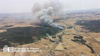Bomberos de Navarra trabajan para sofocar un incendio en una zona de pinar en Carcastillo
