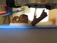 Expertos de las universidades de Sevilla y Florencia analizan joyas de oro de los orfebres italianos Castellani