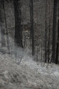 Los vecinos de la calle Orégano, Las Arenitas y Cruz del Castaño ya pueden regresar a sus casas