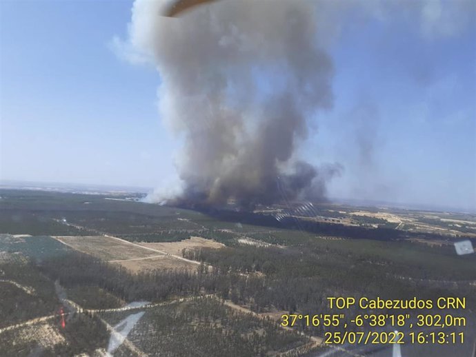 Incendio declarado en Bonares (Huelva).