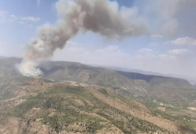 Incendio forestal en Calles (Valencia)