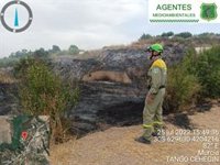 Efectivos del Plan Infomur extinguen un incendio agrícola en Pliego