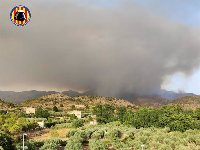 Incendio forestal en Calles