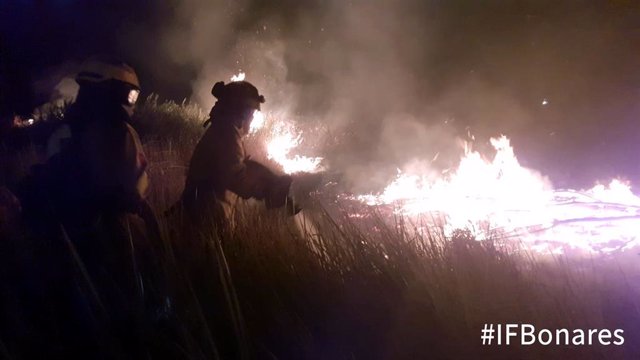 Bomberos forestales del Plan Infoca trabajan en el incendio de Bonares (Huelva).