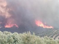 Más de 60 bomberos forestales trabajan para controlar el incendio forestal de Pinos Puente (Granada)
