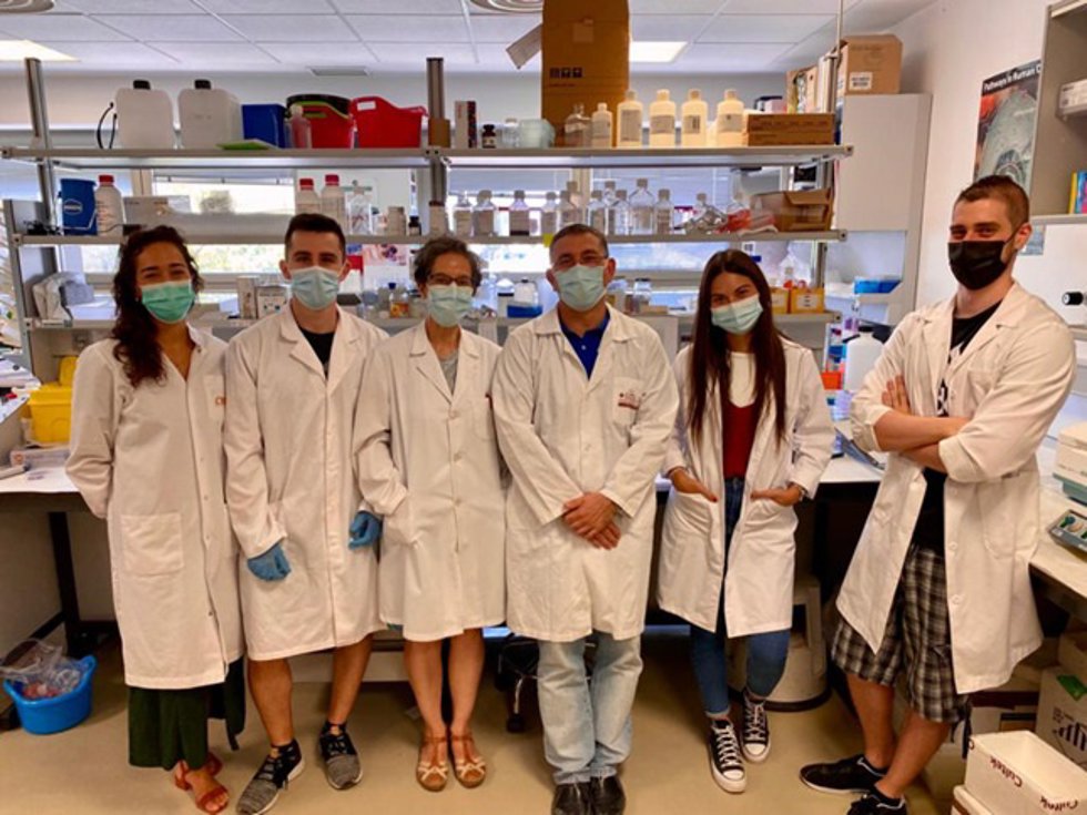 Equipo de investigación participado por la UCLM que ha hallado nuevas vías de diagnóstico y terapia de los sarcomas de tejidos blandos