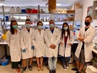 Descubren nuevas vías de diagnóstico y terapia en sarcomas de tejidos blandos