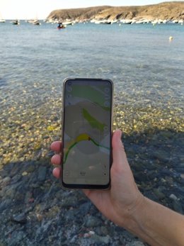 La Generalitat situa en un GPS les zones on practicar pesca marítima recreativa