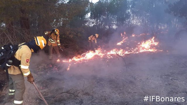 Miembros del Infoca trabajan en el incendio de Bonares (Huelva).