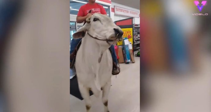 Entra al supermercado...¡A lomos de un toro!