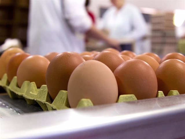 El huevo es uno de los alimentos más nutritivos que existen