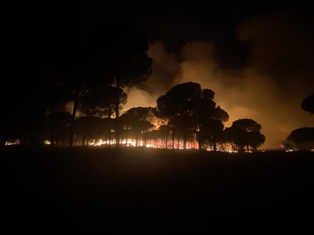 Imagen del incendio de Almonte (Huelva).
